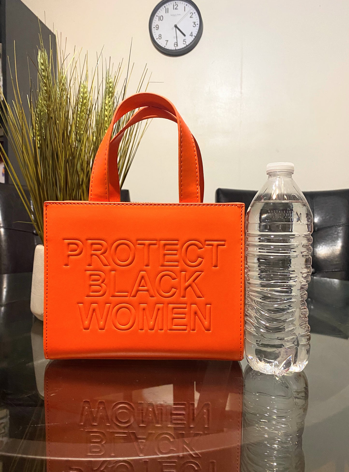 Protect Black Women Mini